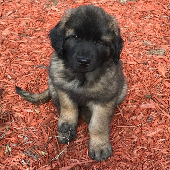 Meet your Posher - Picture 2 of 8